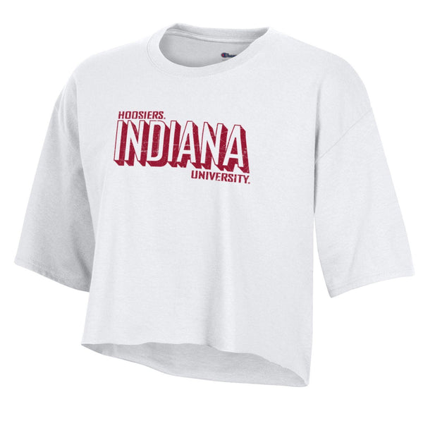 Indiana Hoosiers Heather 12oz Slim Can Cooler – Gameday Spirit